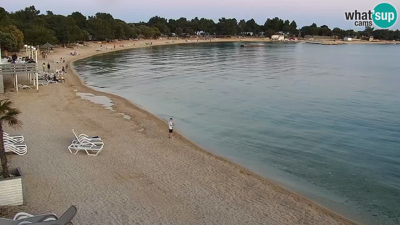 Webcam live Camp – Šimuni