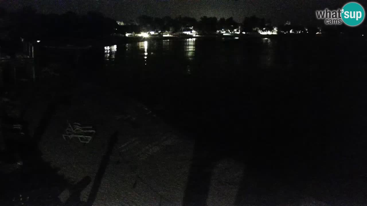 Webcam live Camp – Šimuni