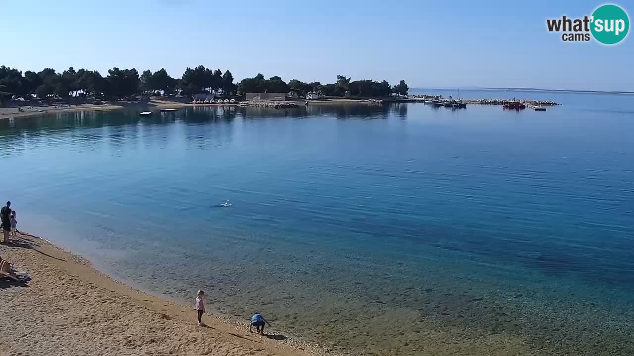 Webcam live Camp – Šimuni
