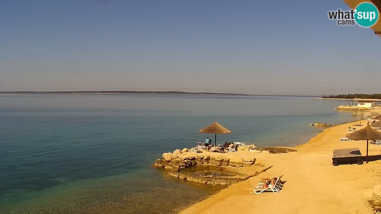 Web kamera Kamp Šimuni