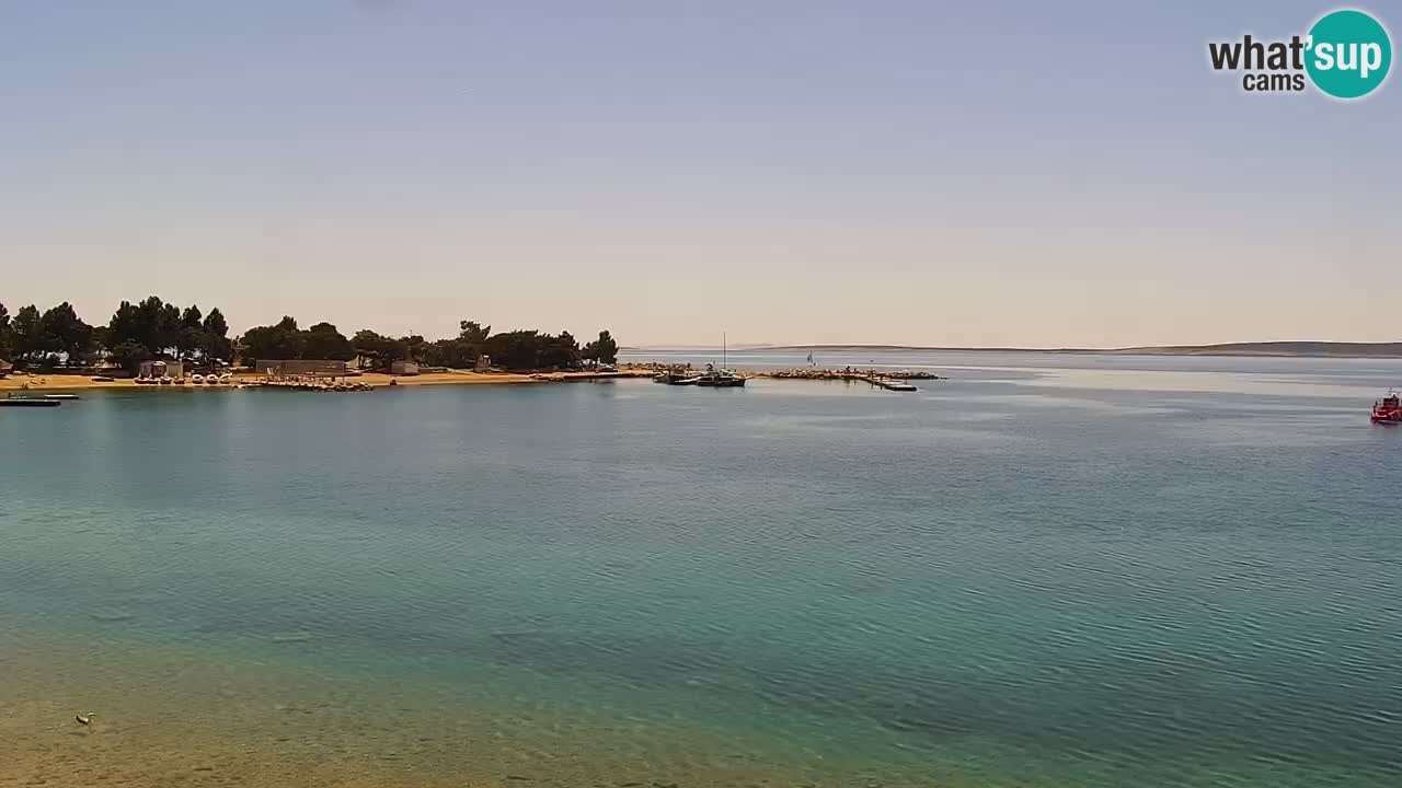 Webcam live Camp – Šimuni
