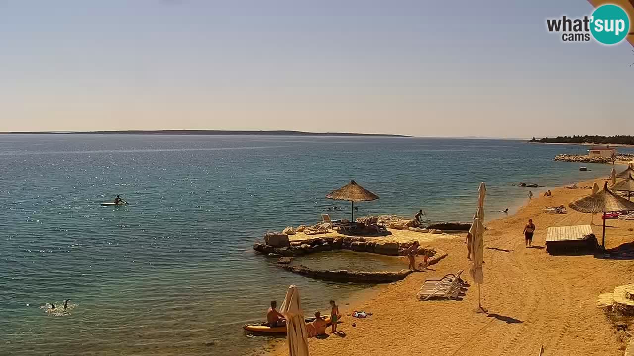 Webcam live Camp – Šimuni