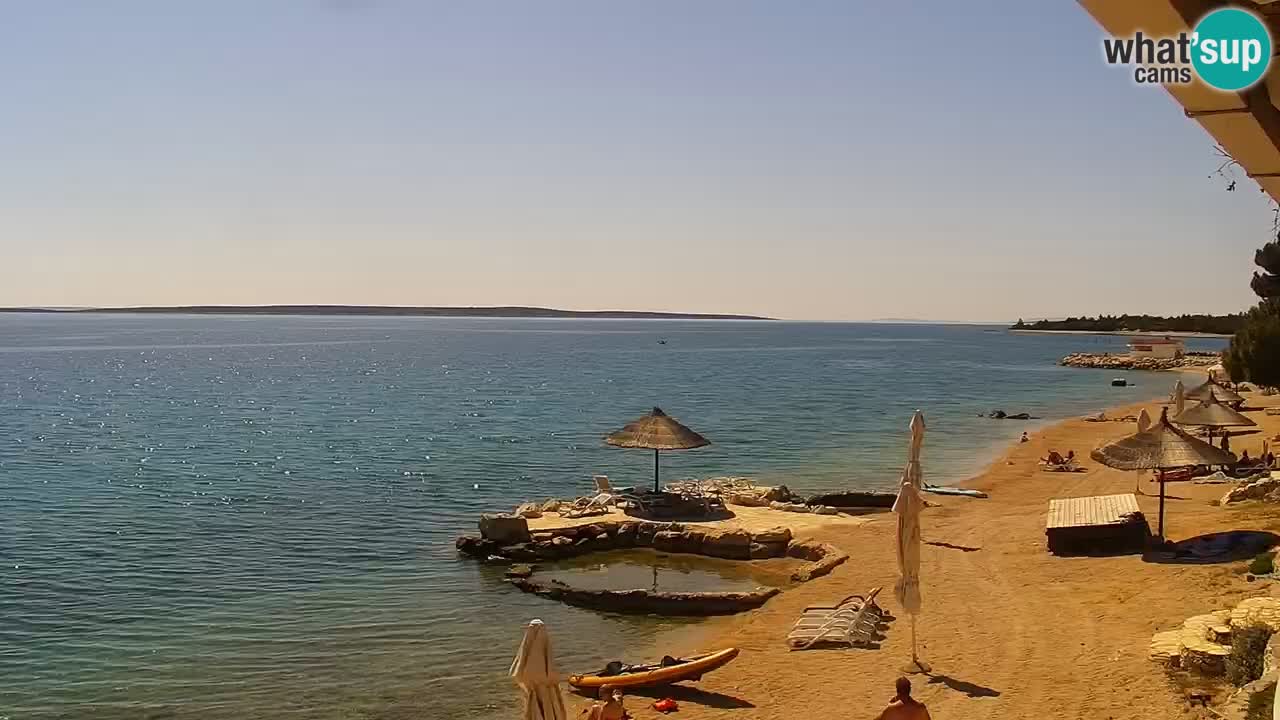 Webcam live Camp – Šimuni