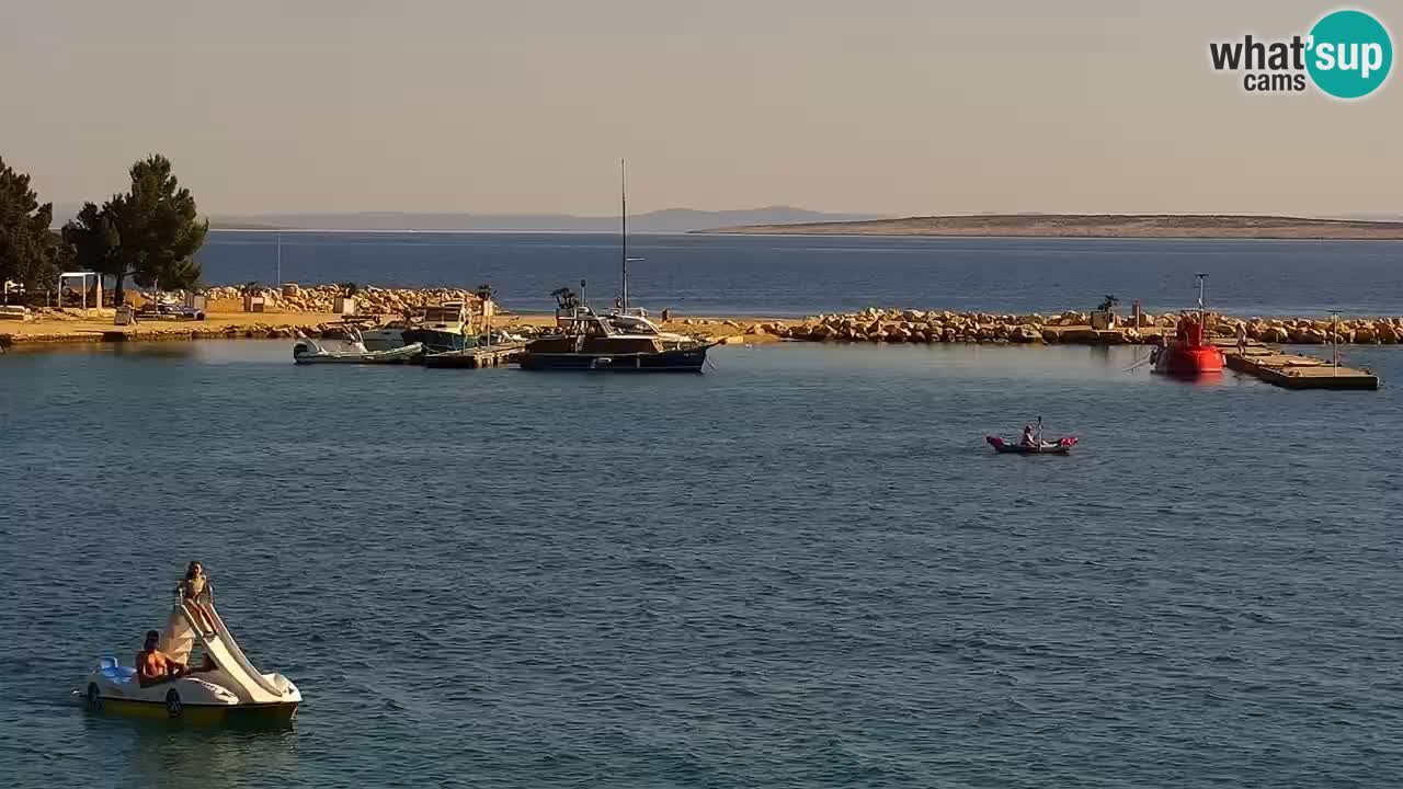 Web kamera Kamp Šimuni