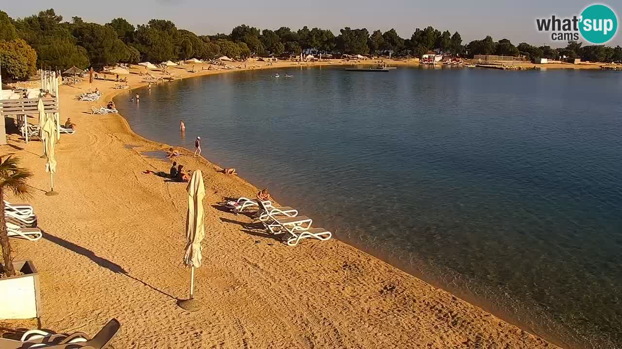 Webcam live Camp – Šimuni