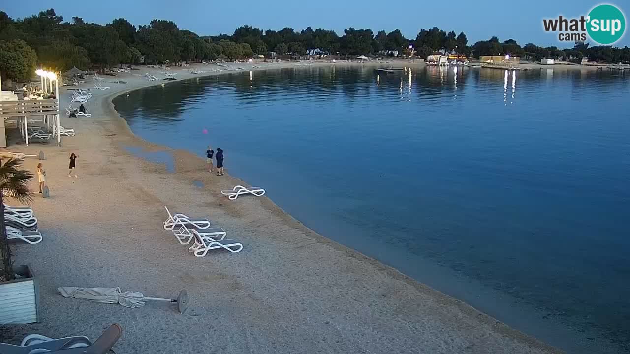 Webcam live Camp – Šimuni