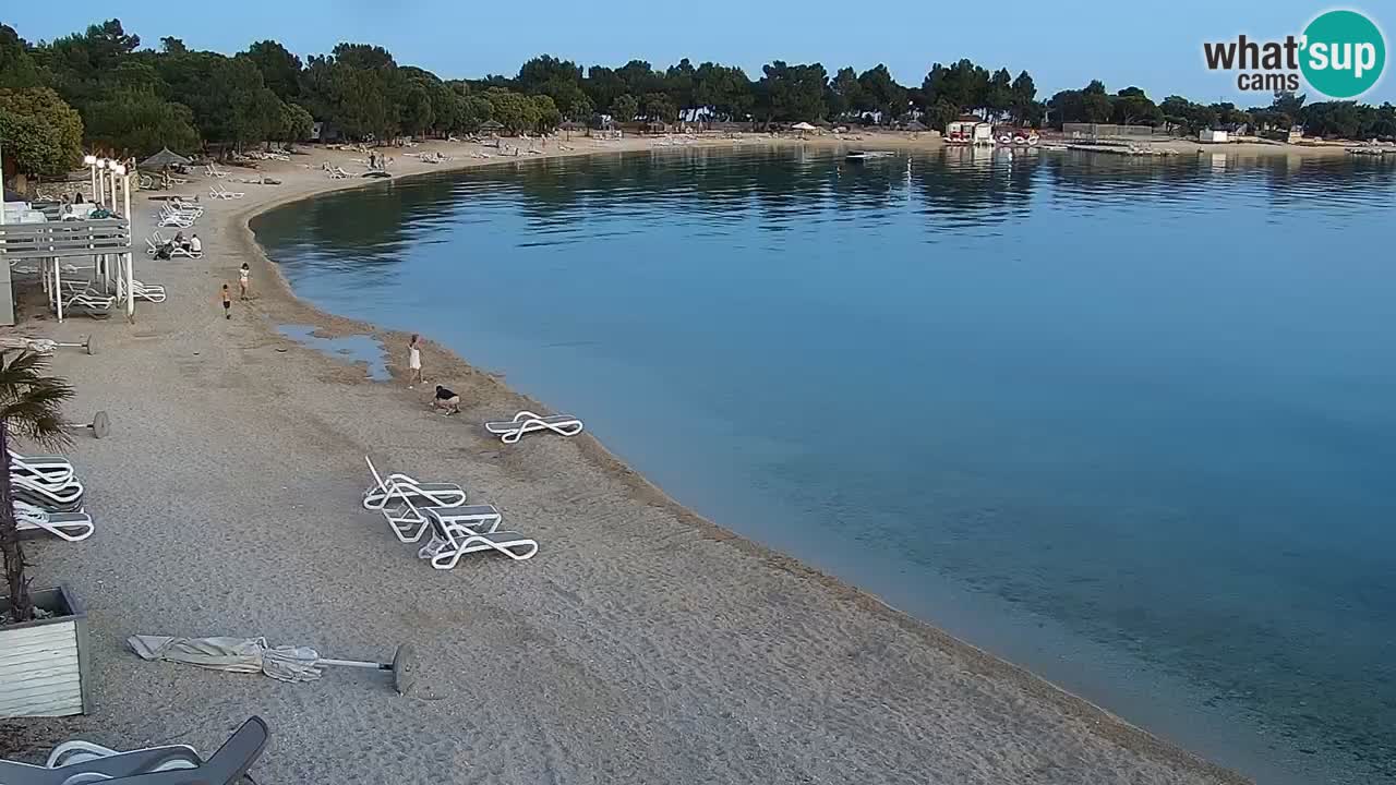 Webcam live Camp – Šimuni