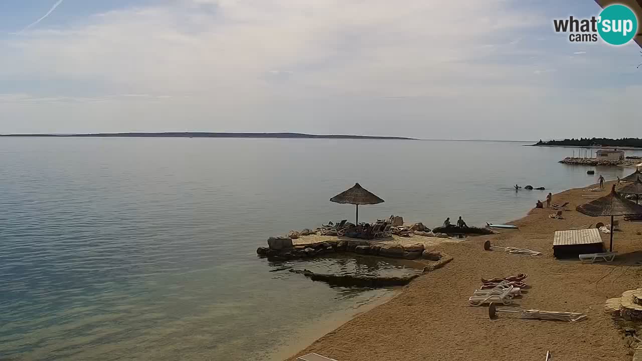 Webcam live Camp – Šimuni