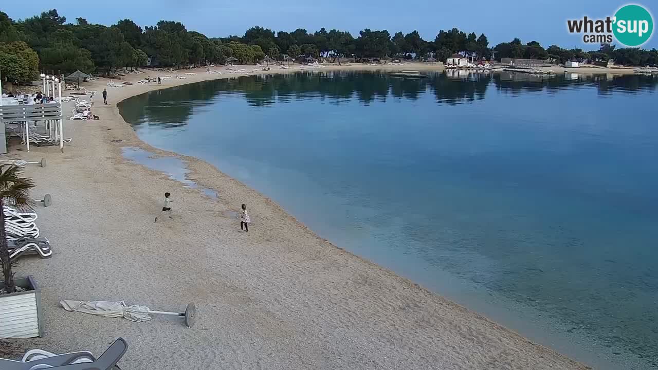 Web kamera Kamp Šimuni