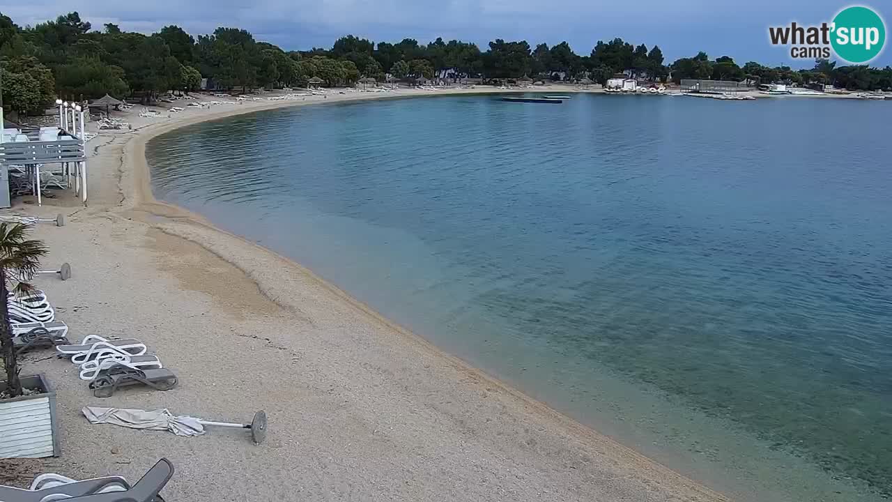 Web kamera Kamp Šimuni