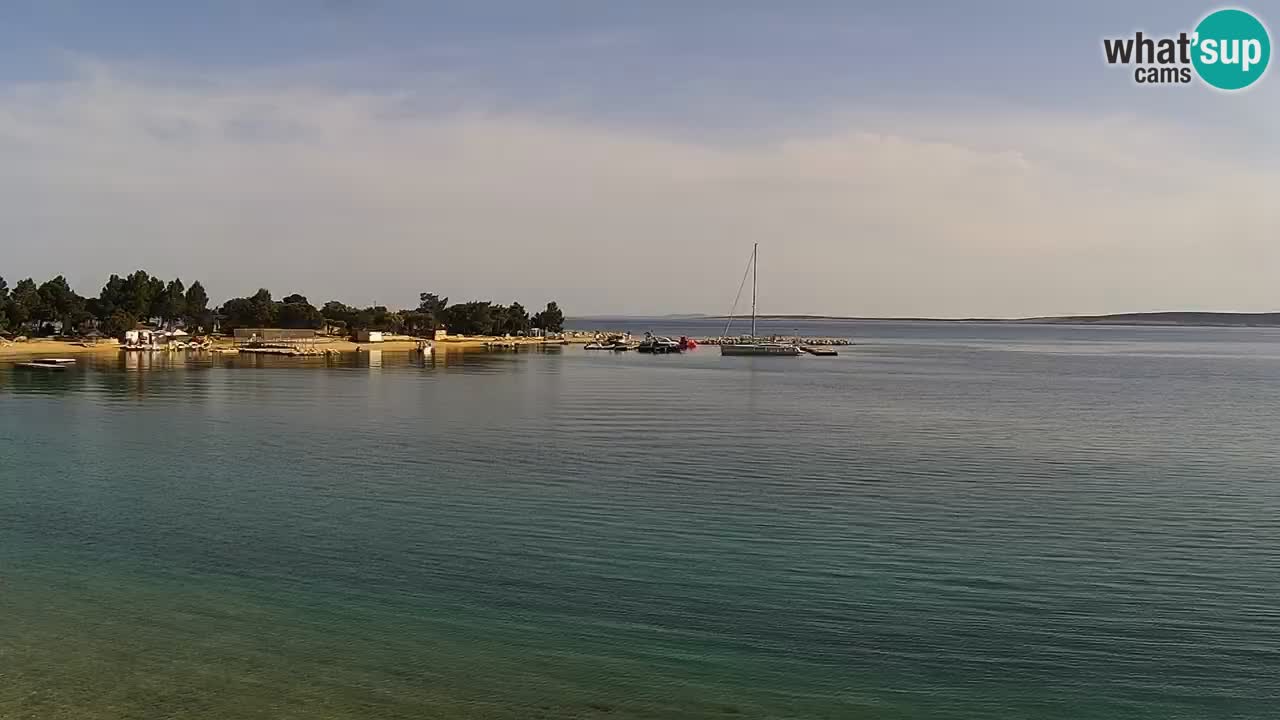 Webcam live Camp – Šimuni