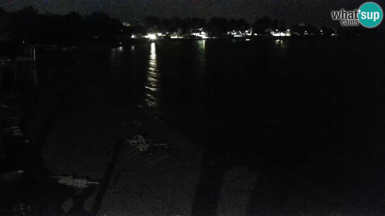 Spletna kamera Kamp Šimuni