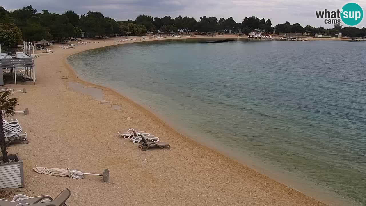 Webcam live Camp – Šimuni