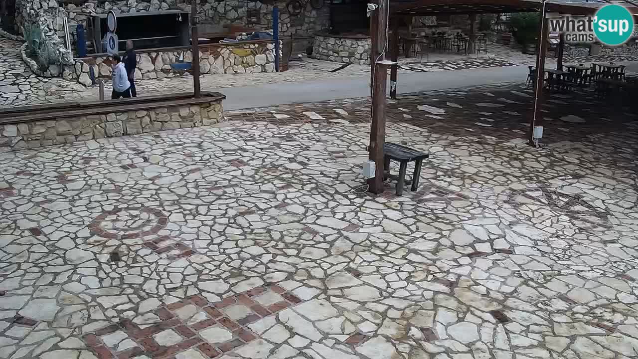 Webcam live Camp – Šimuni