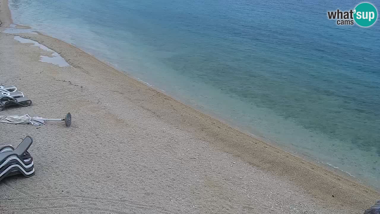 Web kamera Kamp Šimuni