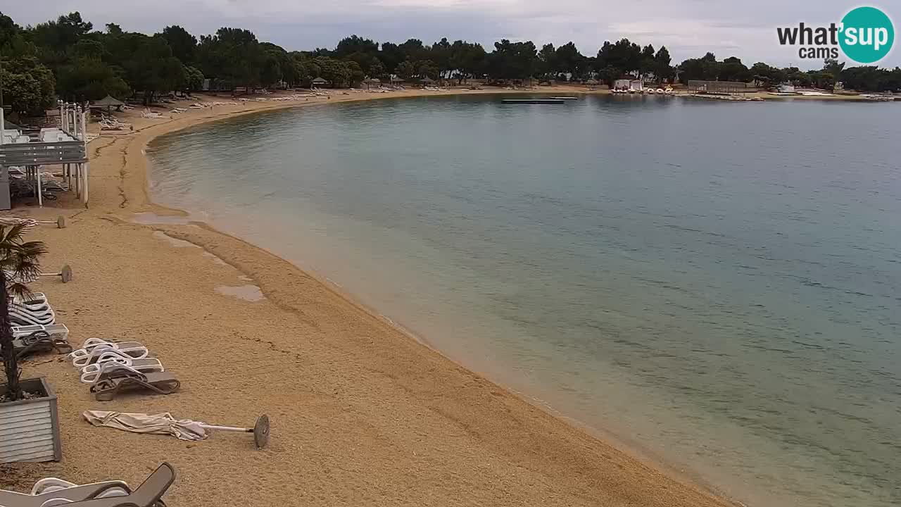 Spletna kamera Kamp Šimuni