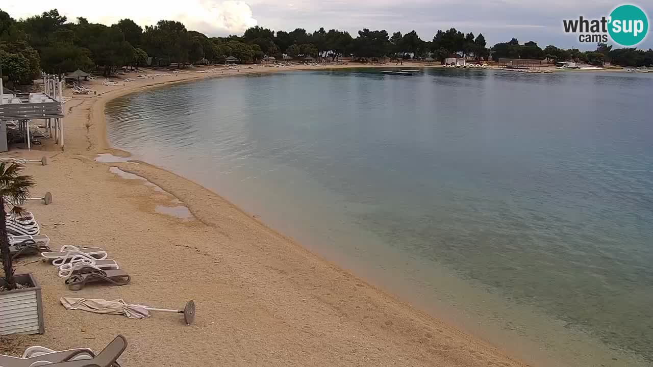 Spletna kamera Kamp Šimuni
