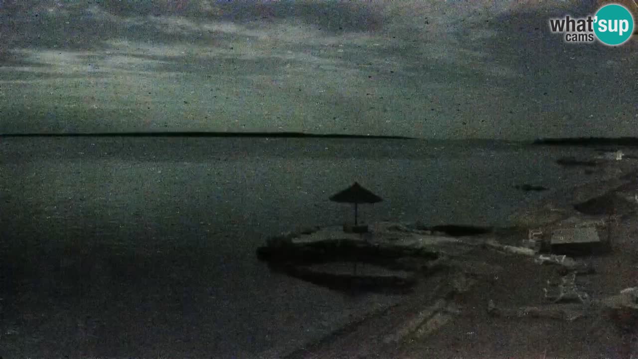 Spletna kamera Kamp Šimuni