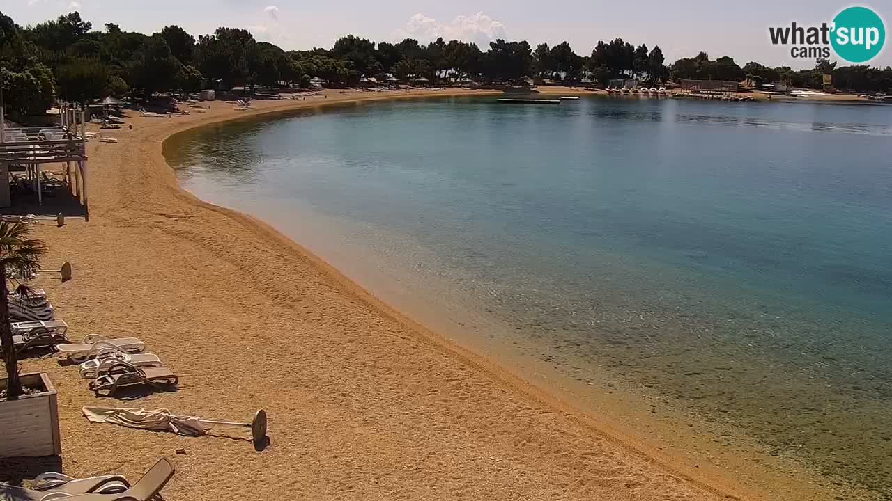 Spletna kamera Kamp Šimuni
