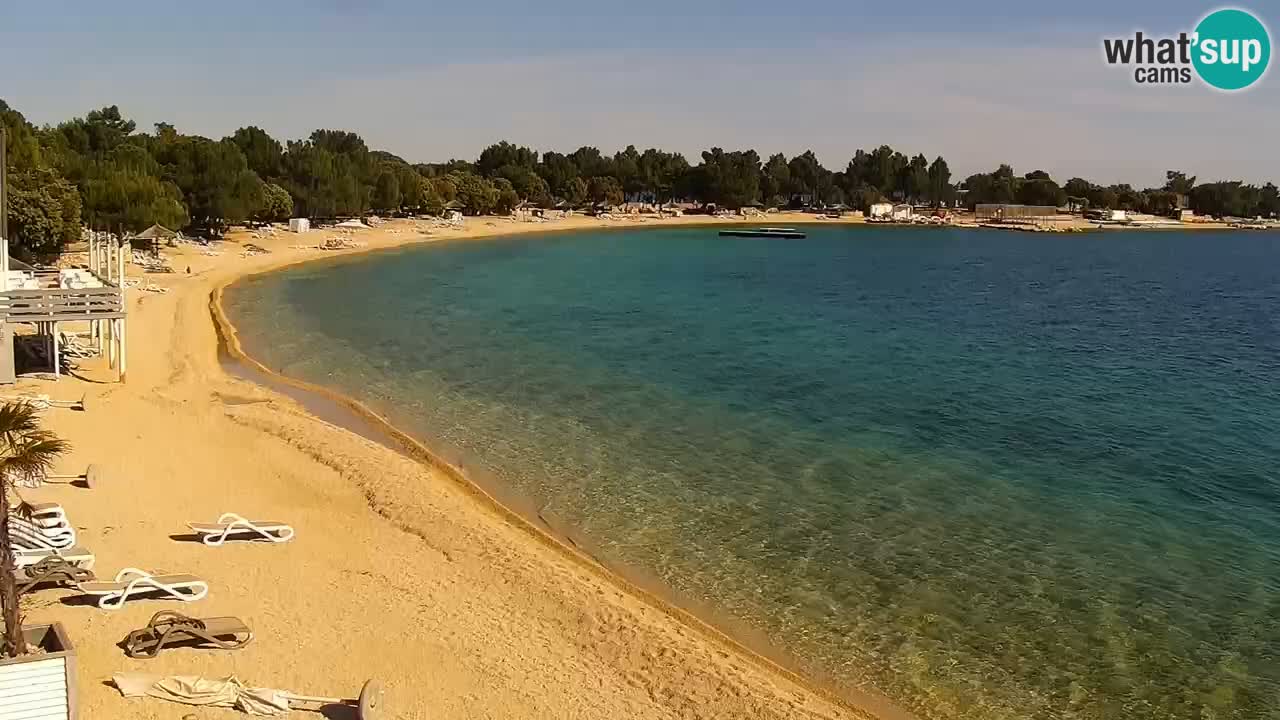 Webcam live Camp – Šimuni