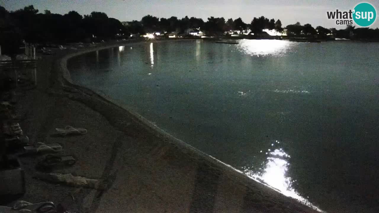 Spletna kamera Kamp Šimuni
