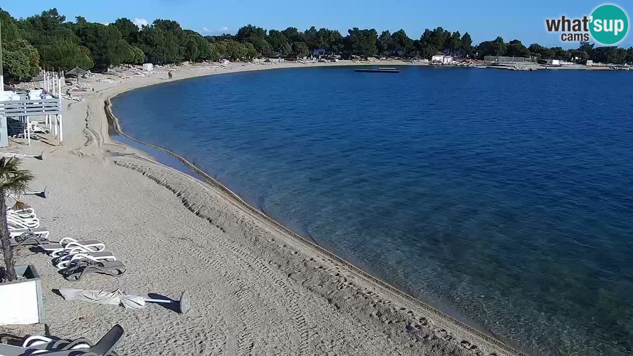 Spletna kamera Kamp Šimuni