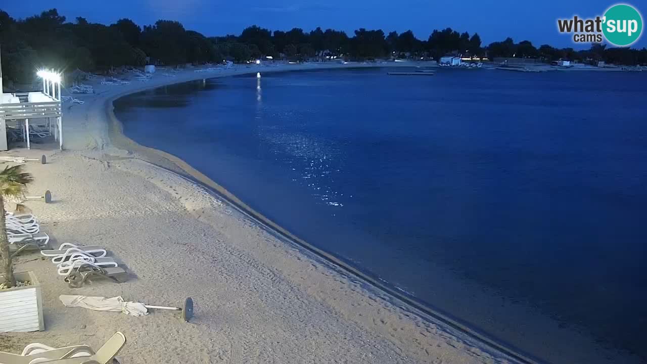 Web kamera Kamp Šimuni