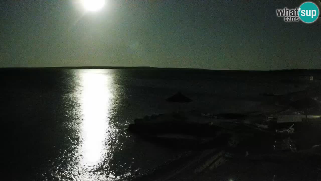 Webcam live Camp – Šimuni