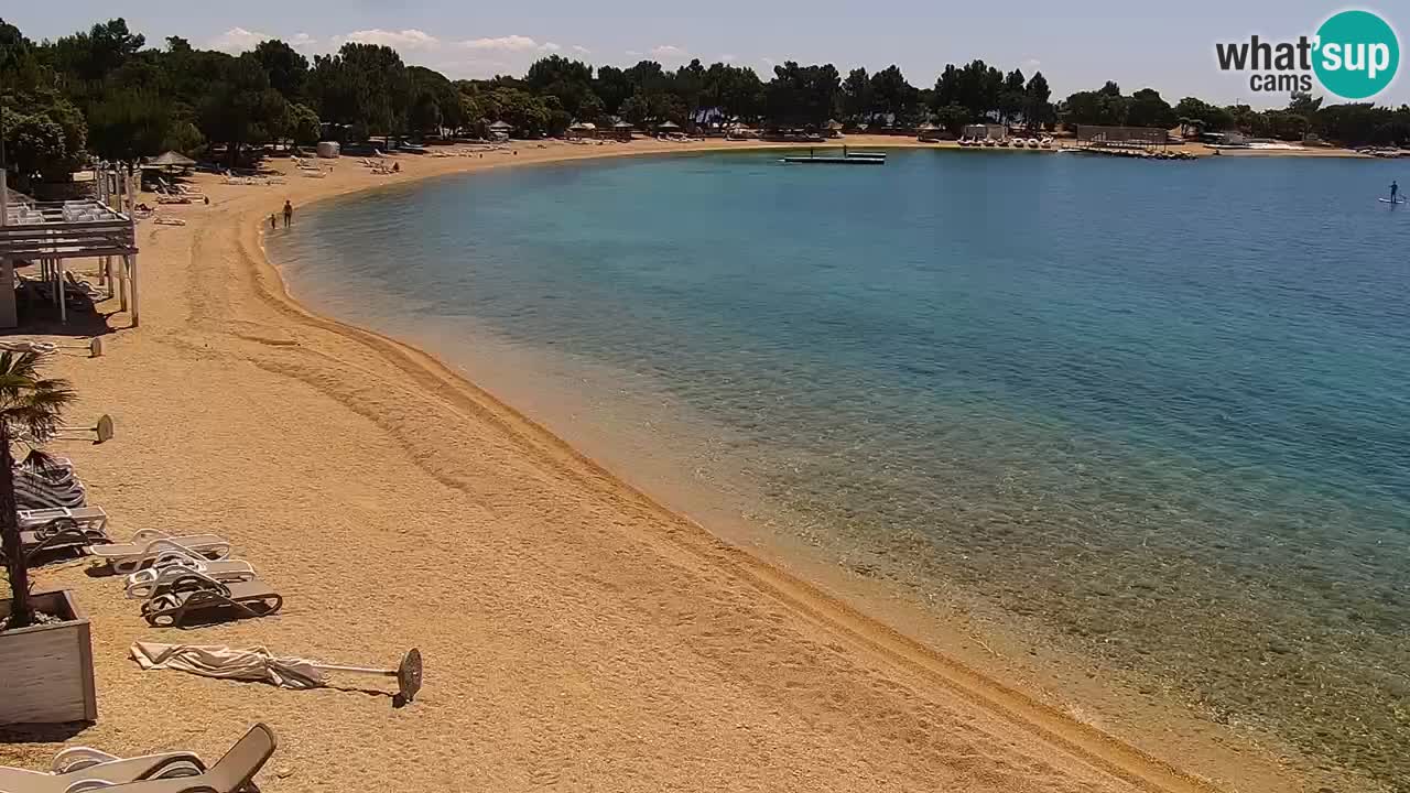 Spletna kamera Kamp Šimuni