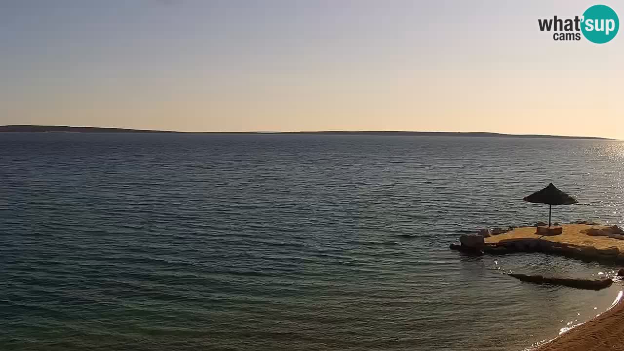 Webcam live Camp – Šimuni