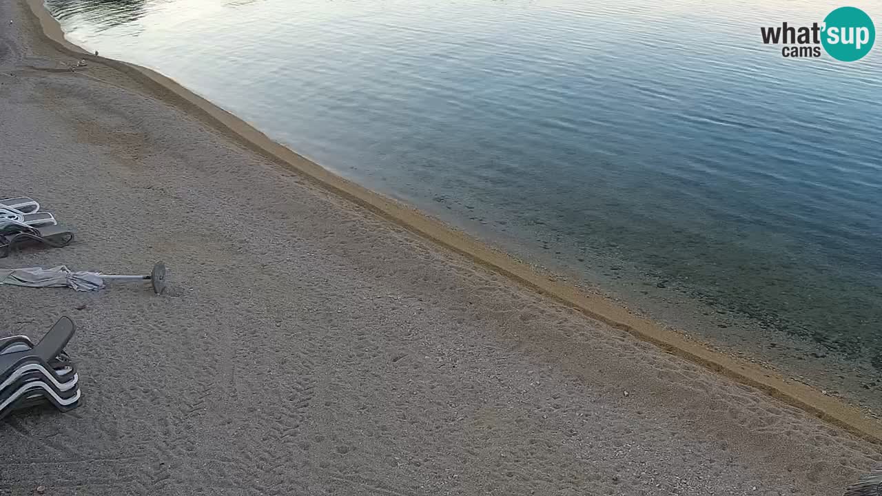 Webcam live Camp – Šimuni