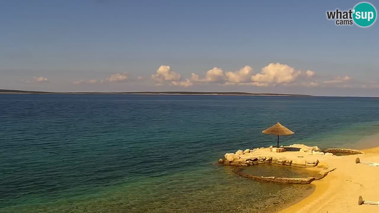 Webcam live Camp – Šimuni