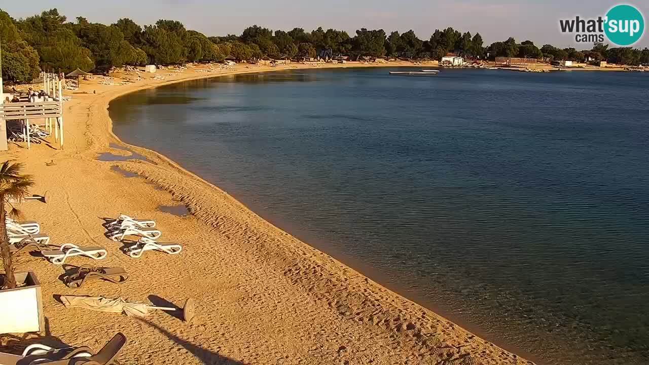 Webcam live Camp – Šimuni