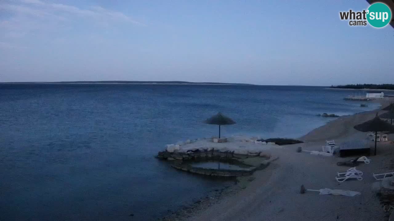 Webcam live Camp – Šimuni