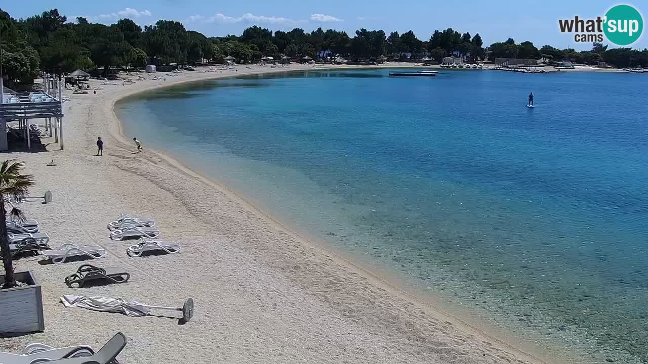 Web kamera Kamp Šimuni