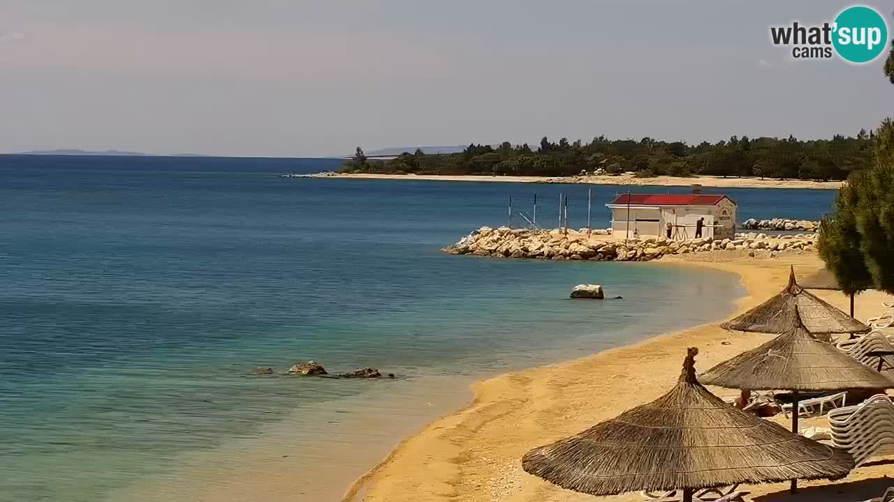Spletna kamera Kamp Šimuni