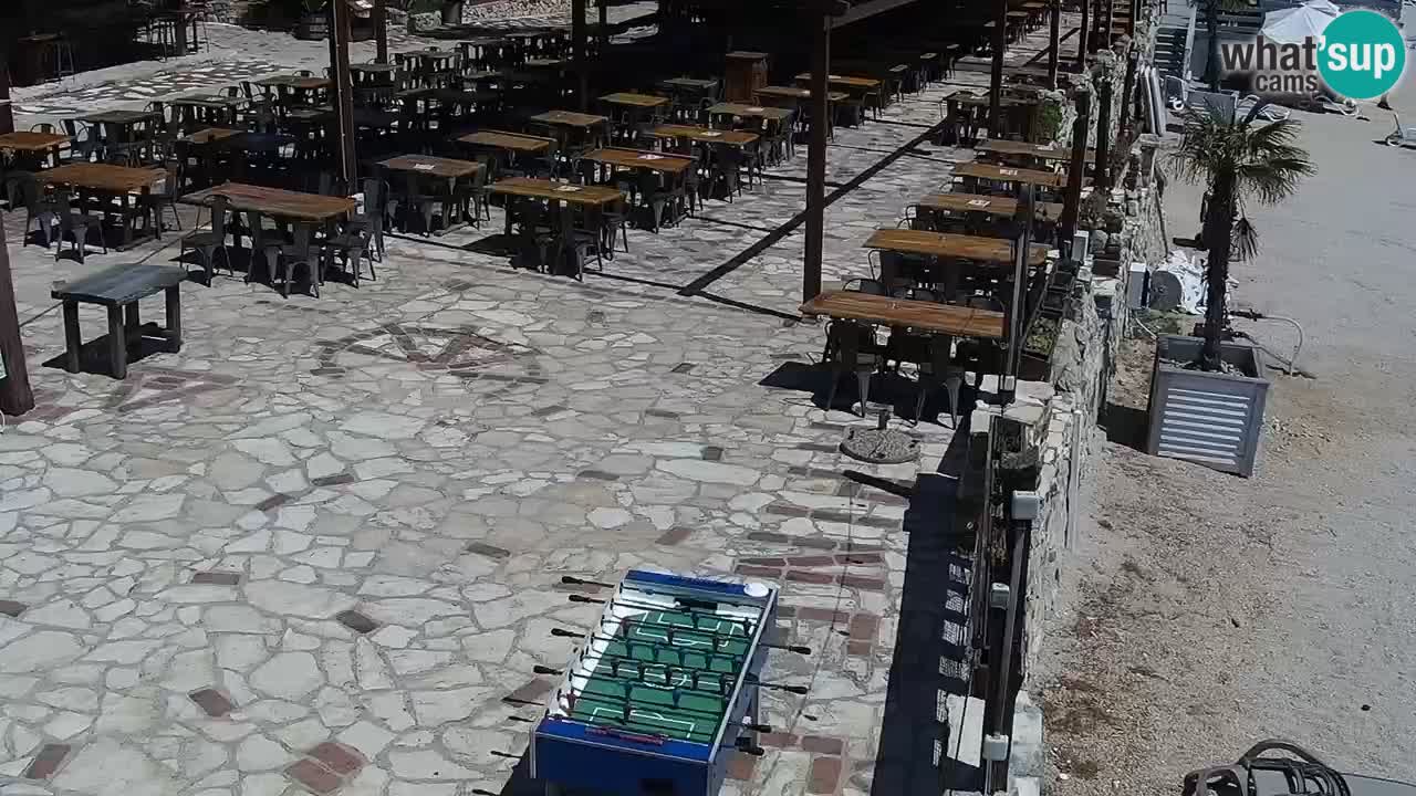 Web kamera Kamp Šimuni