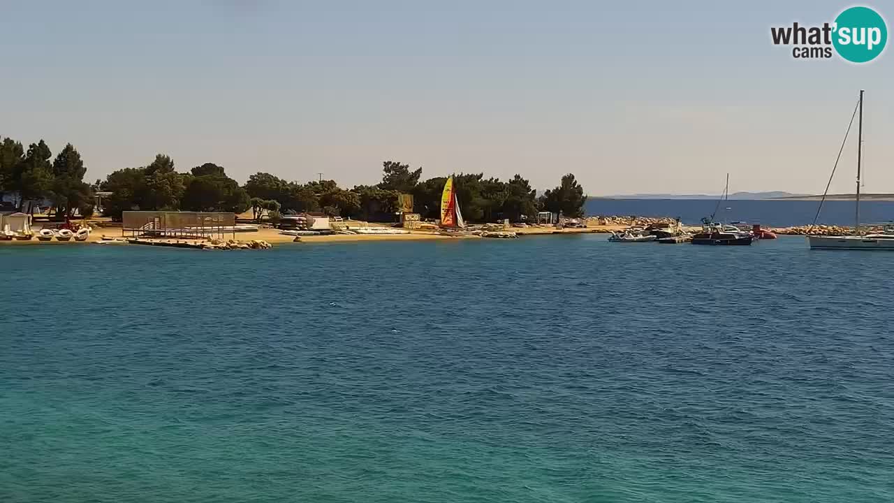 Spletna kamera Kamp Šimuni