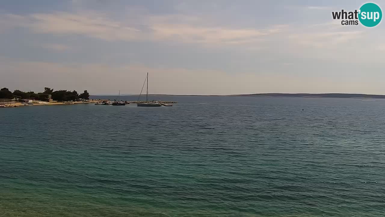 Webcam live Campeggio Šimuni