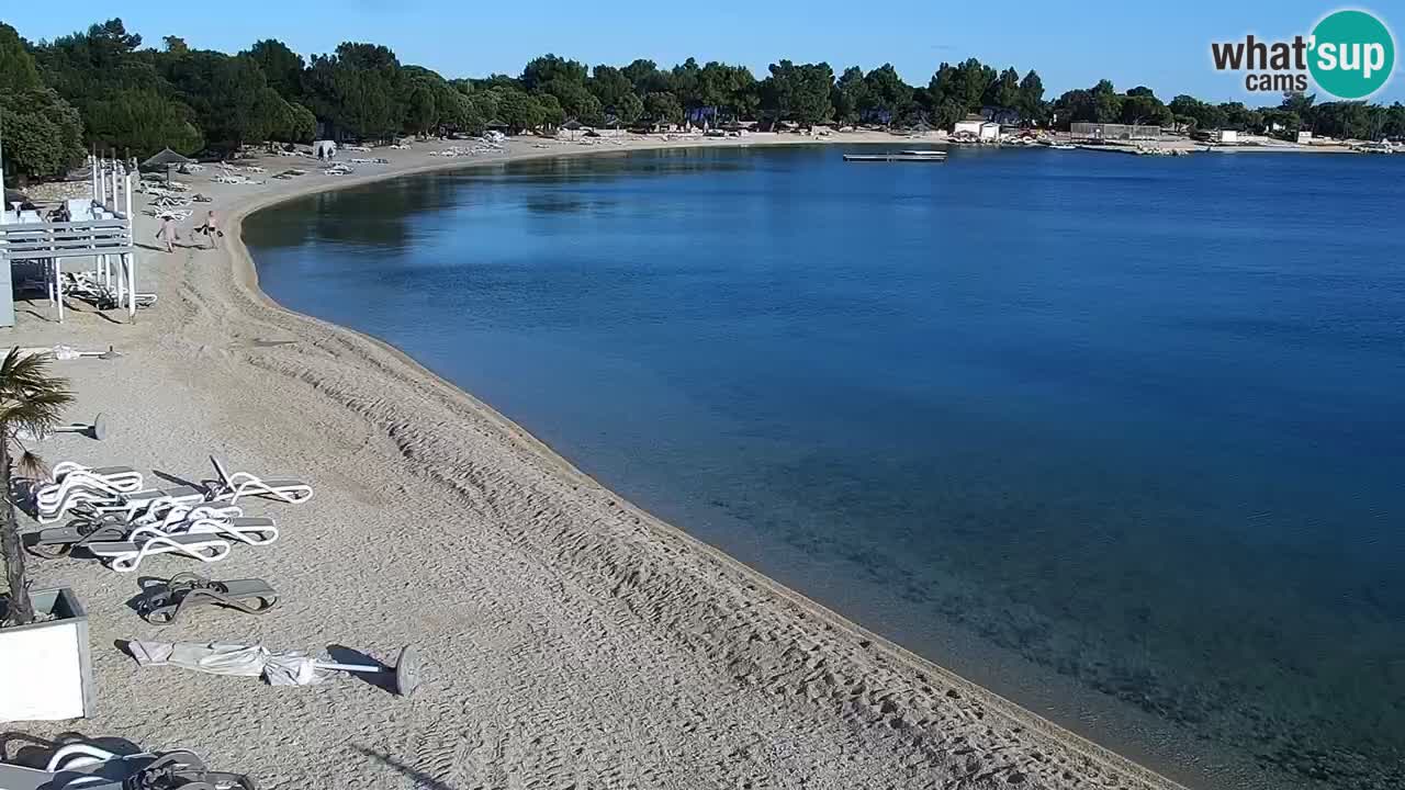 Web kamera Kamp Šimuni