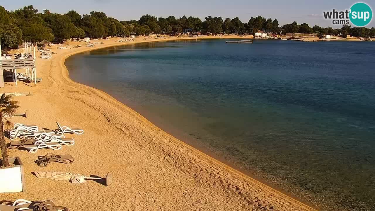Web kamera Kamp Šimuni