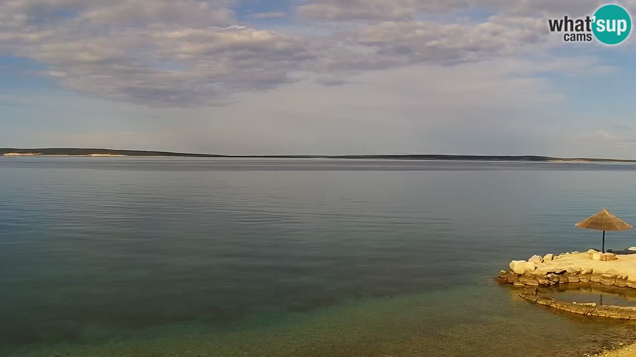 Web kamera Kamp Šimuni