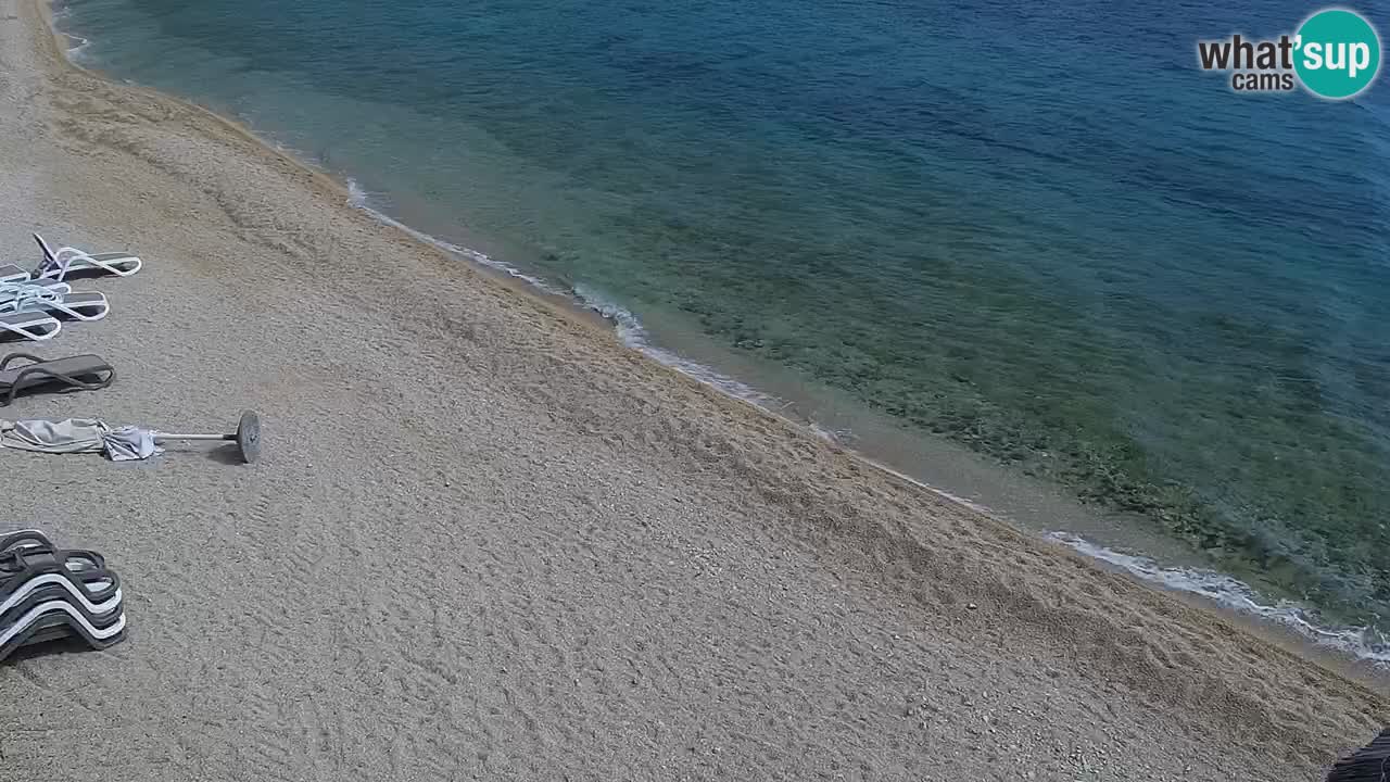 Web kamera Kamp Šimuni