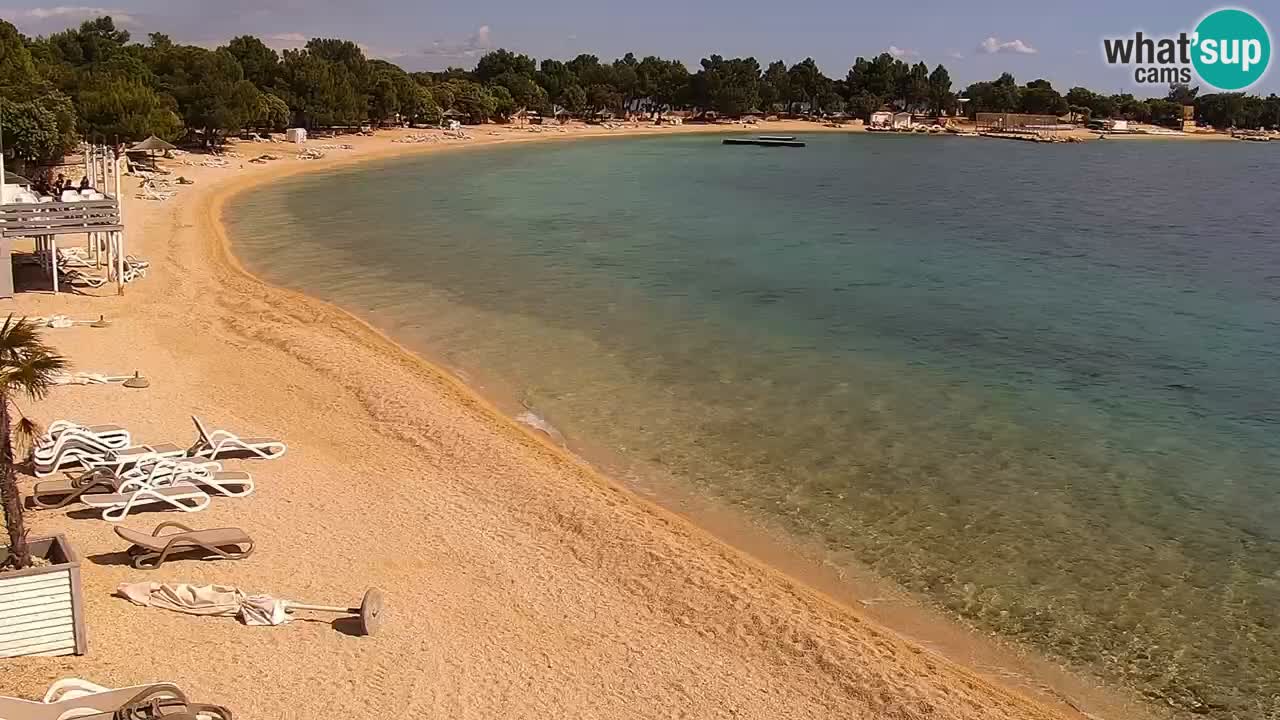 Web kamera Kamp Šimuni
