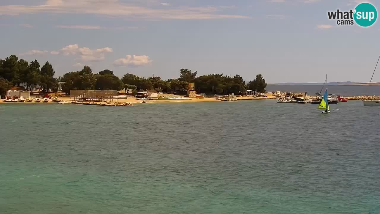 Web kamera Kamp Šimuni