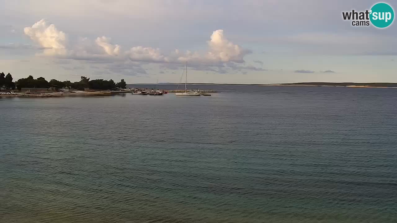 Webcam live Camp – Šimuni