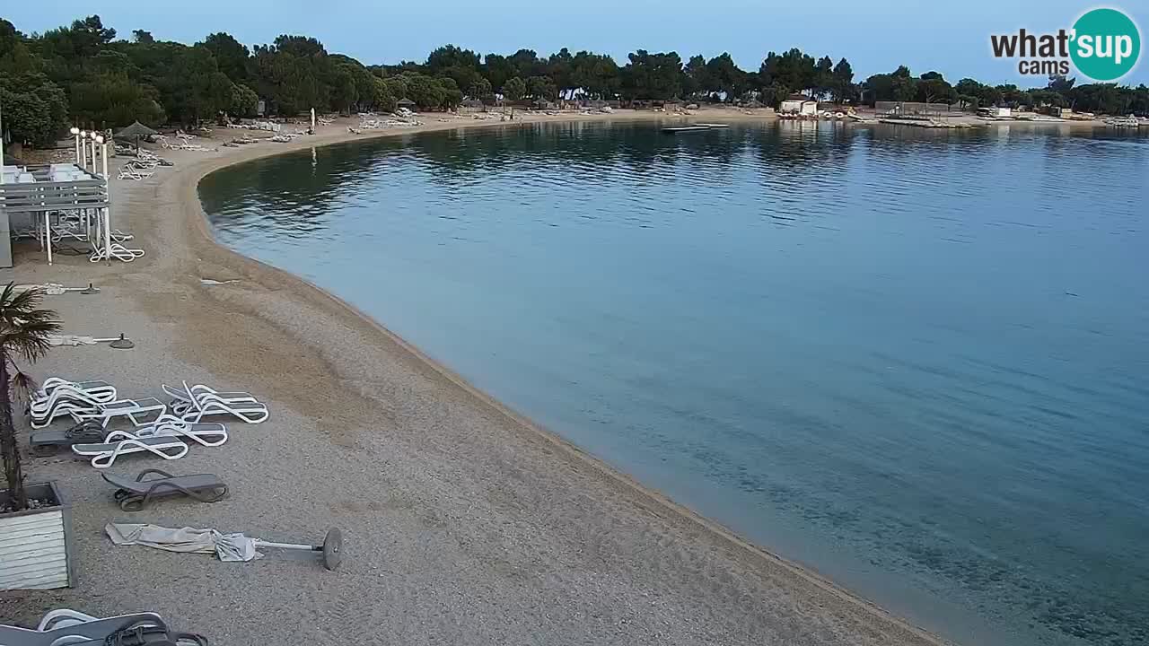 Spletna kamera Kamp Šimuni