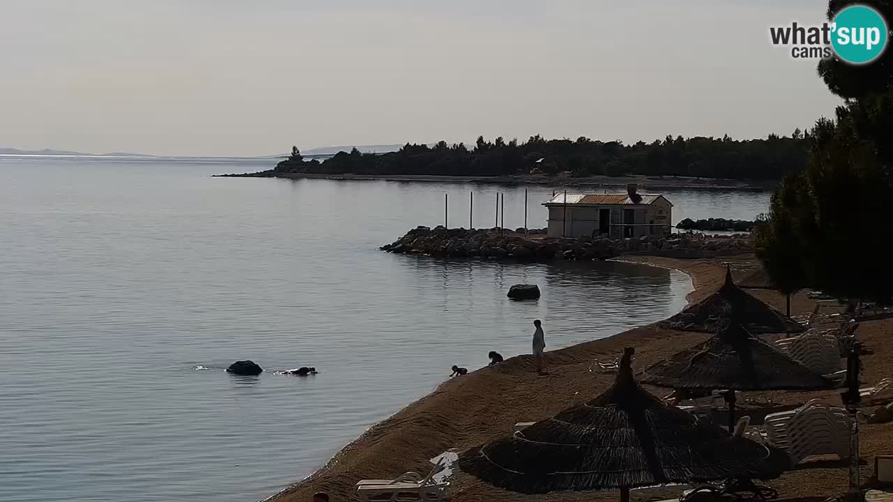 Spletna kamera Kamp Šimuni