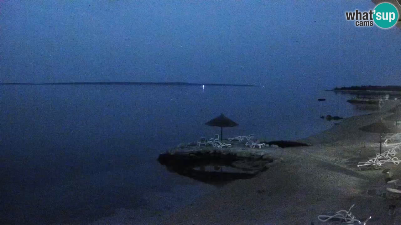 Spletna kamera Kamp Šimuni