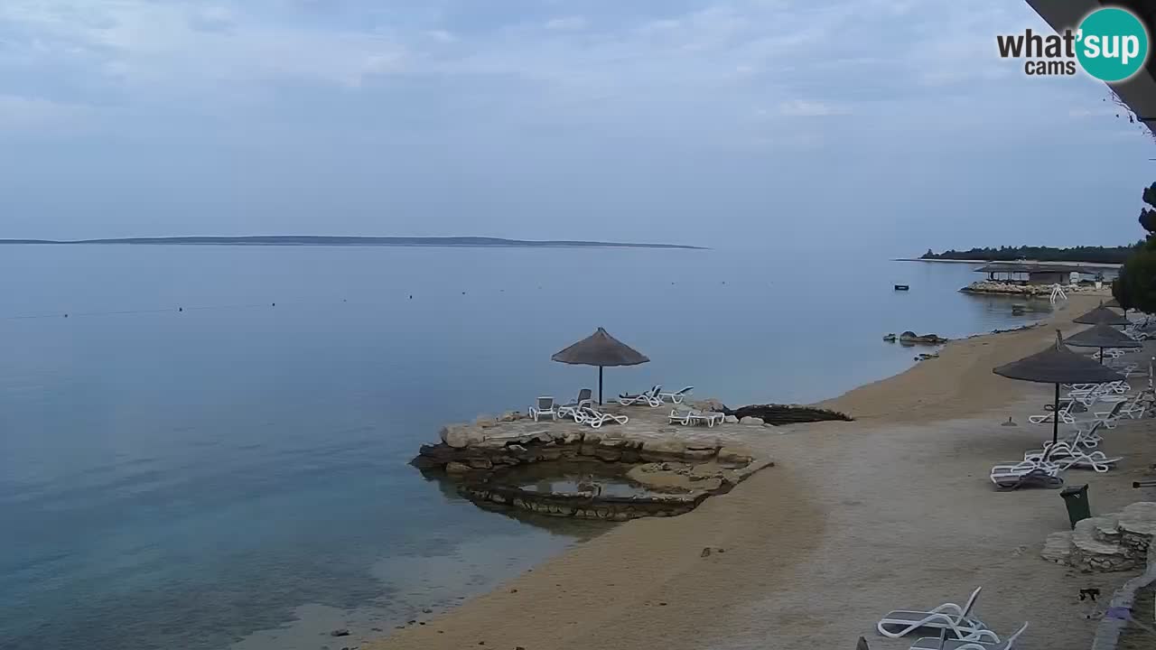 Spletna kamera Kamp Šimuni